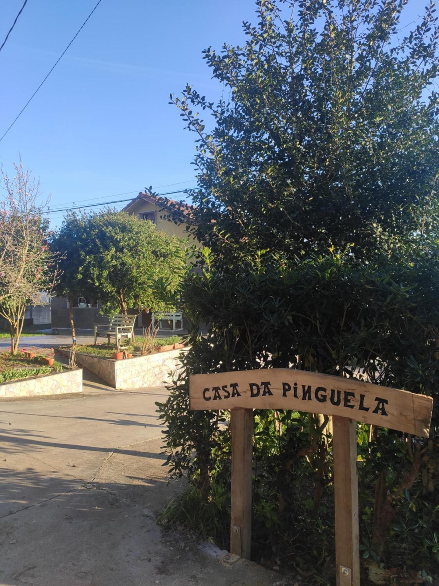 Casa Da Pinguela Camino Ingles Villa Ordes Exterior photo